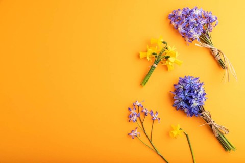Spring snowdrop flowers bluebells, narcissus on orange pastel background. top view, flat lay, copy