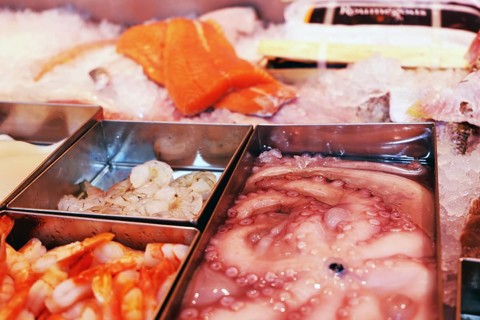 Close-up of a fish counter with fish and seafood