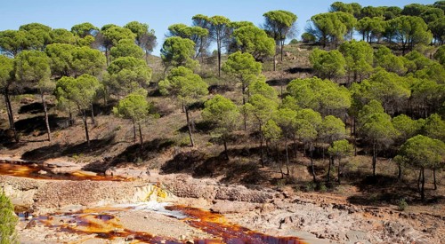 Blood red mineral laden water Rio Tinto river Minas de Riotinto mining area, Huelva province,