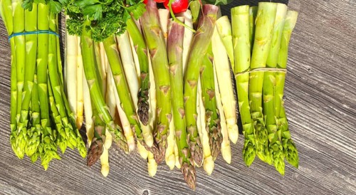 Green asparagus and white asparagus decorated on a rustic wooden table