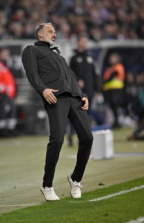 Coach Pellegrino Matarazzo TSG 1899 Hoffenheim on the sidelines, gesture, gesture, disappointed,