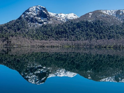 Lake Lago Quilleihue, calm surface, reflections on the water, araucaria trees, Villarica NP near