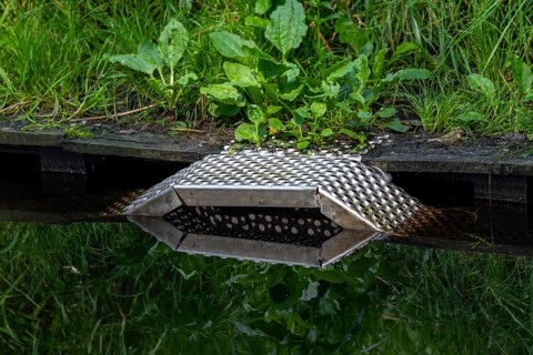 Metal wildlife escape ramp, steps along riverbank enabling trapped animals to leave the water that