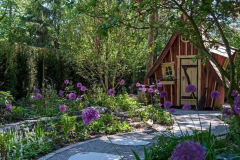 Wooden hut in the garden surrounded by purple flowers and green foliage, a path leads through the