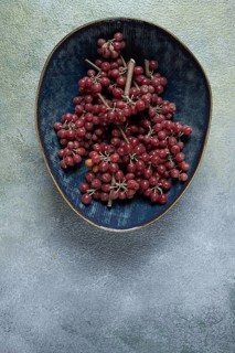 Shtoshi berry, Shepherd's pie, a hybrid of sea buckthorn and barberry, top view, no people
