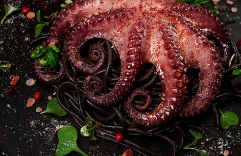 Octopus with black spaghetti, pasta, spices and herbs, top view, no people