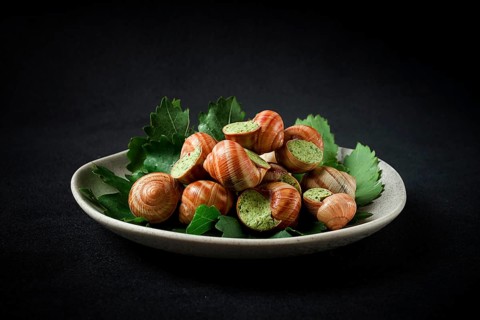 Grape snails, stuffed in burgundy, french cuisine