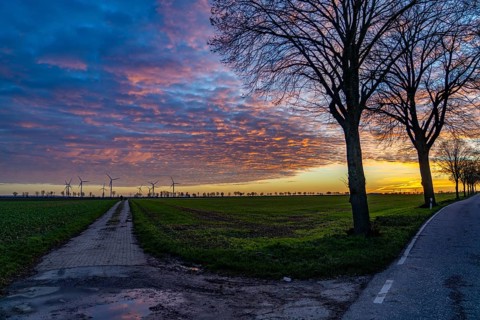 Wind farm near Holzweiler, town of Erkelenz, wind power plants, North Rhine-Westphalia, Germany,