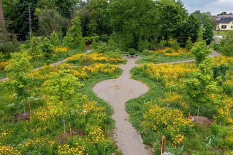 Detroit, Michigan, Residents formed a nonprofit organization called 'Arboretum Detroit' to preserve