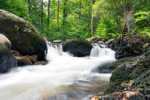 Waterfalls in Ilsetal, Ilsenburg, 22/08/2014, Ilsenburg, Germany, Europe