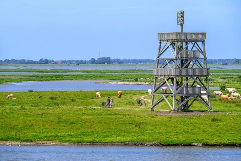 Observation tower at Plan Tureluur, nature reserve near Kerkwerwe on the island Schouwen-Duiveland,