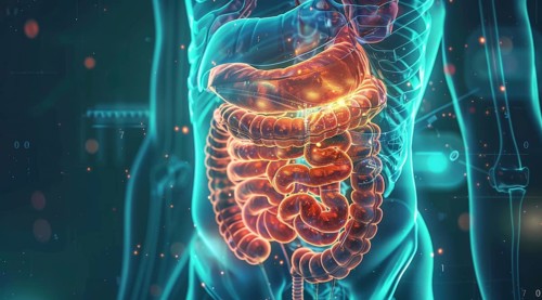Person internal organs, stomach and intestines anatomy. Gastroenterology concept close up, AI