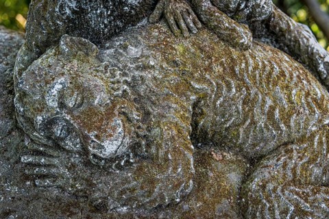Sleeping monkey, temple figure, sleep, sleeping, rest, resting, enjoying, relax, relaxed, animal,