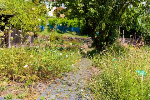 The idyllic, listed Hoflößnitz is a jewel of the Saxon wine culture landscape and the first and