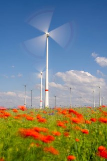 Wind farm, field with flower strips, insect-friendly border of fields with mixed flowers, poppies,