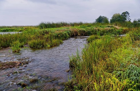 The riverbed of the Narew in the Narew National Park, Narwianski Park Narodowy, in the north-east