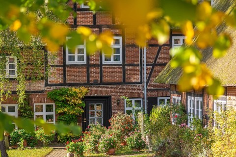 Community Probsteierhagen, former inn PLagmann, half-timbered house with thatched roof, tree in