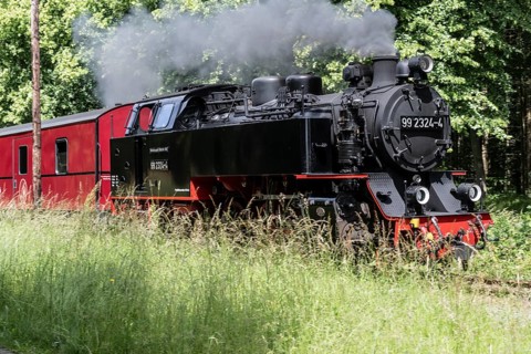 Bäderbahn Molli, Kühlungsborn, Mecklenburg-Vorpommern, Germany, Europe