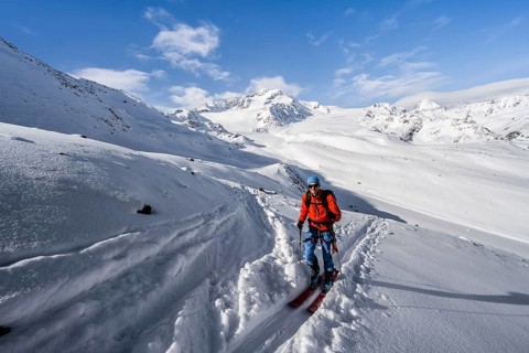 Ski tourers in a snow-covered mountain landscape, mountain peak Monte Cevedale and glacier