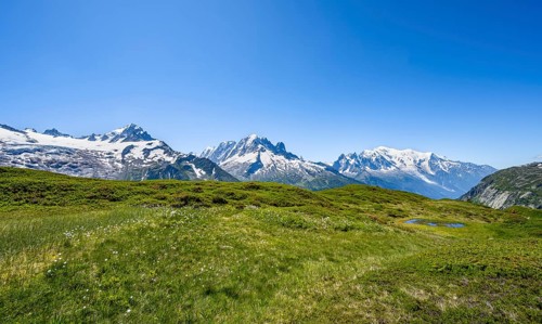 Mountain panorama with glaciated mountain peaks, Aiguille de Chardonnet with Glacier du Tour,