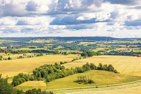 Rural view at a patchwork landscape with cultivated fields and tree groves in late summer, Sweden,