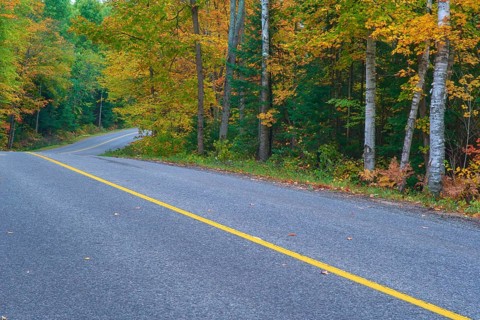 Road winds through an autumn forest with colourful foliage and a yellow centre line, Autumn,