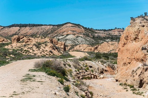 Dry dirt track winds through rocky landscape with hills and vegetation, Bardenas Reales Natural