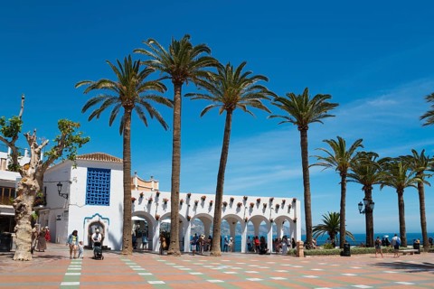 Sunny square with tall palm trees, white buildings and views of the sea under a clear blue sky,