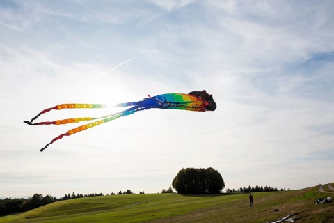 Large stunt kite, Hütten, Rickenbach, Hotzenwald, Southern Black Forest, Black Forest,