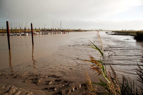 Low water, Ems, silt inflow, ferry harbour, Petkum, East Frisia, Germany, Europe