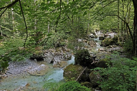 Seisenbergklamm gorge, natural monument, Pinzgau, Salzburger Land, Austria, Europe