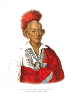 American Indian, Native American, Ma-Ka-Tai-Me-She-Kia-Kiah, a Sauk warrior, United States of