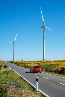 Green renewable alternative energy in Portugal, wind generator turbines among Cytisus flower shrubs