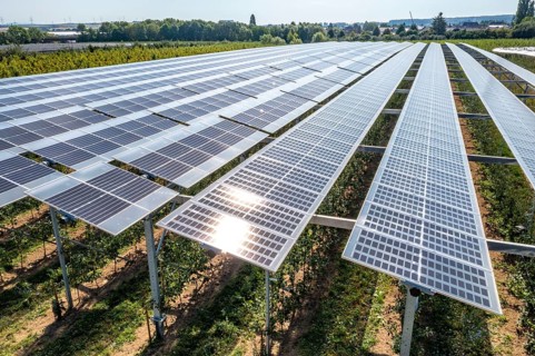 Agri-photovoltaic test plant, an apple orchard with two different systems of PV modules was roofed