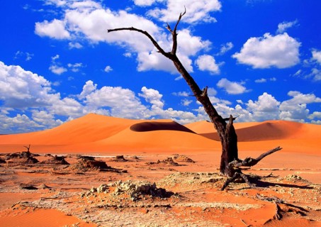 Africa, Namibia, Dead Vlei, Naukluft National Park, Africa