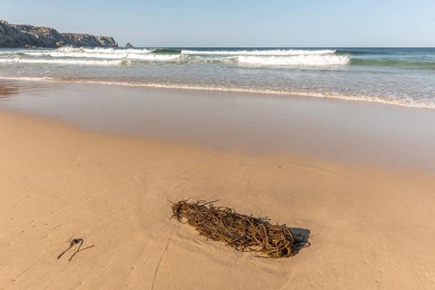 Fine sandy beach on the Atlantic coast. Camaret sur mer, Crozon, Finistere, Brittany, France,