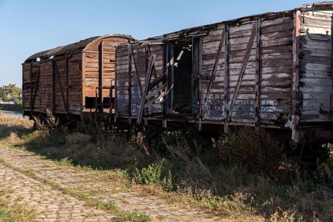 Old goods wagons in the science harbour, Magdeburg, Saxony-Anhalt, Germany, Europe