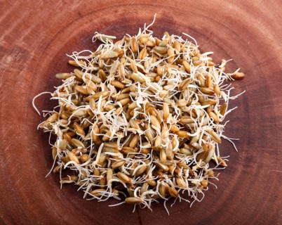 Heap of germinated rye on brown wooden background, close up, top view