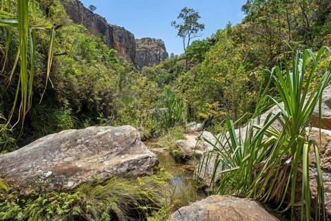 Stream and lush vegetation in canyon at Isalo National Park, Ihorombe Region, Fianarantsoa
