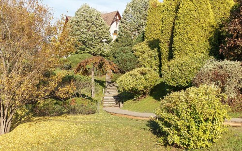 Park with green lawn, trees, hedges, trimmed bushes and hilly terrain. Modern landscape design