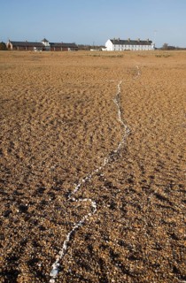 White line of sea shells running over shingle beach towards Coastguard Cottages, Shingle Street,