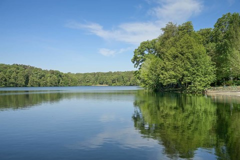 Schlachtensee, Zehlendorf, Steglitz-Zehlendorf, Berlin, Germany, Europe