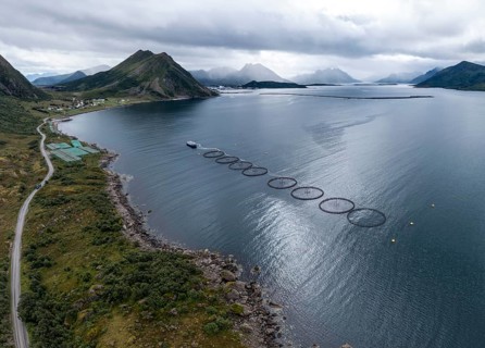 Aerial view of a salmon farm, rainy weather, grey sky, village Myre in the back, Vesteralen