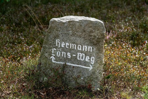 Hiking sign, rock as signpost, in the Lüneburg Heath nature reserve, Lower Saxony, Germany, Europe