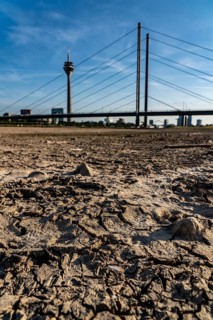 Rhine near Düsseldorf, extremely low water, Rhine level at 81 cm, falling, after a long drought the