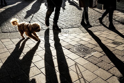 Pedestrians in a pedestrian zone, winter, long shadows, Dortmund, North Rhine-Westphalia, Germany,