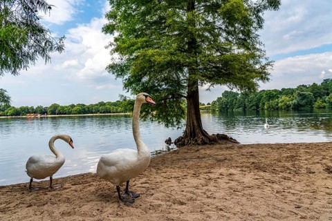 The Sechs-Seen-Platte, a local recreation area in the south of Duisburg, near the Wedau district, 6
