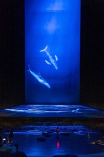Plante Ozean exhibition in the Gasometer in Oberhausen, the world's oceans in their fragile beauty
