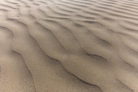 Fine sand moulded by the wind on a beach. Crozon, Finistere, Brittany, France, Europe