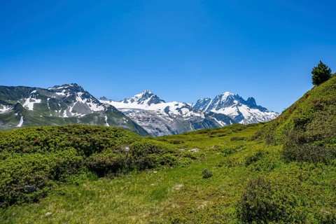 Mountain panorama with glaciated mountain peaks, Aiguille Verte and Glacier du Tour, hike to